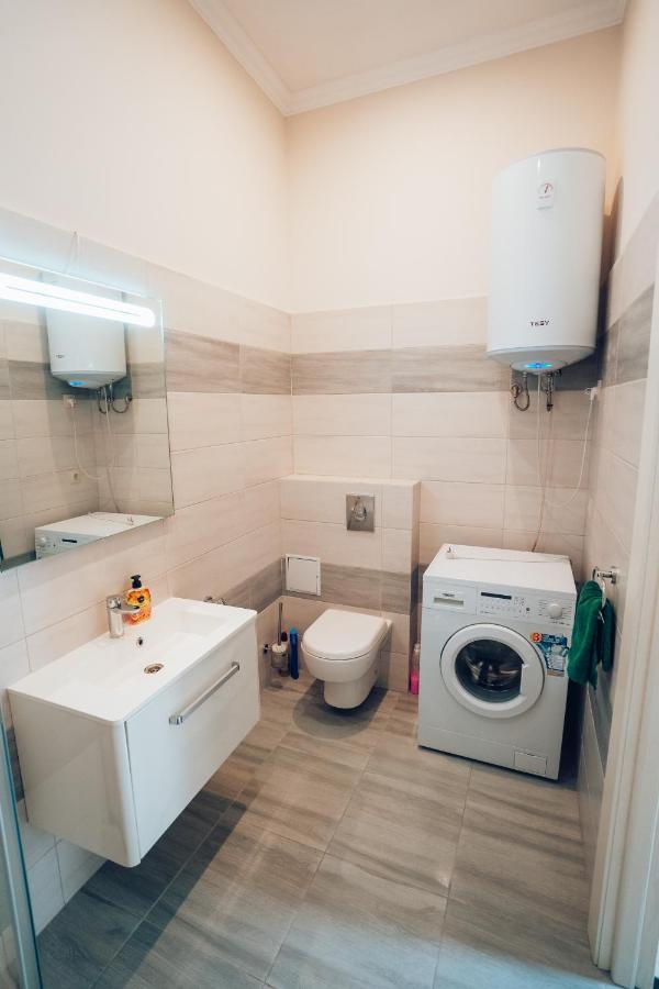 Wonderful Flat On City Center Ужгород Екстериор снимка